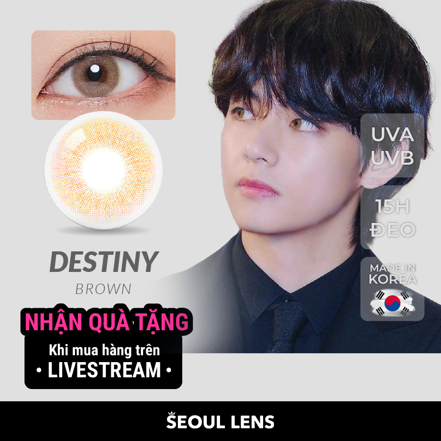 BTS- Lens 1 NGÀY (1𝗖HIẾC ) DNA/ IDOL (myself gray/destiny brown) - Seoullens Kính áp tròng Hàn Quốc