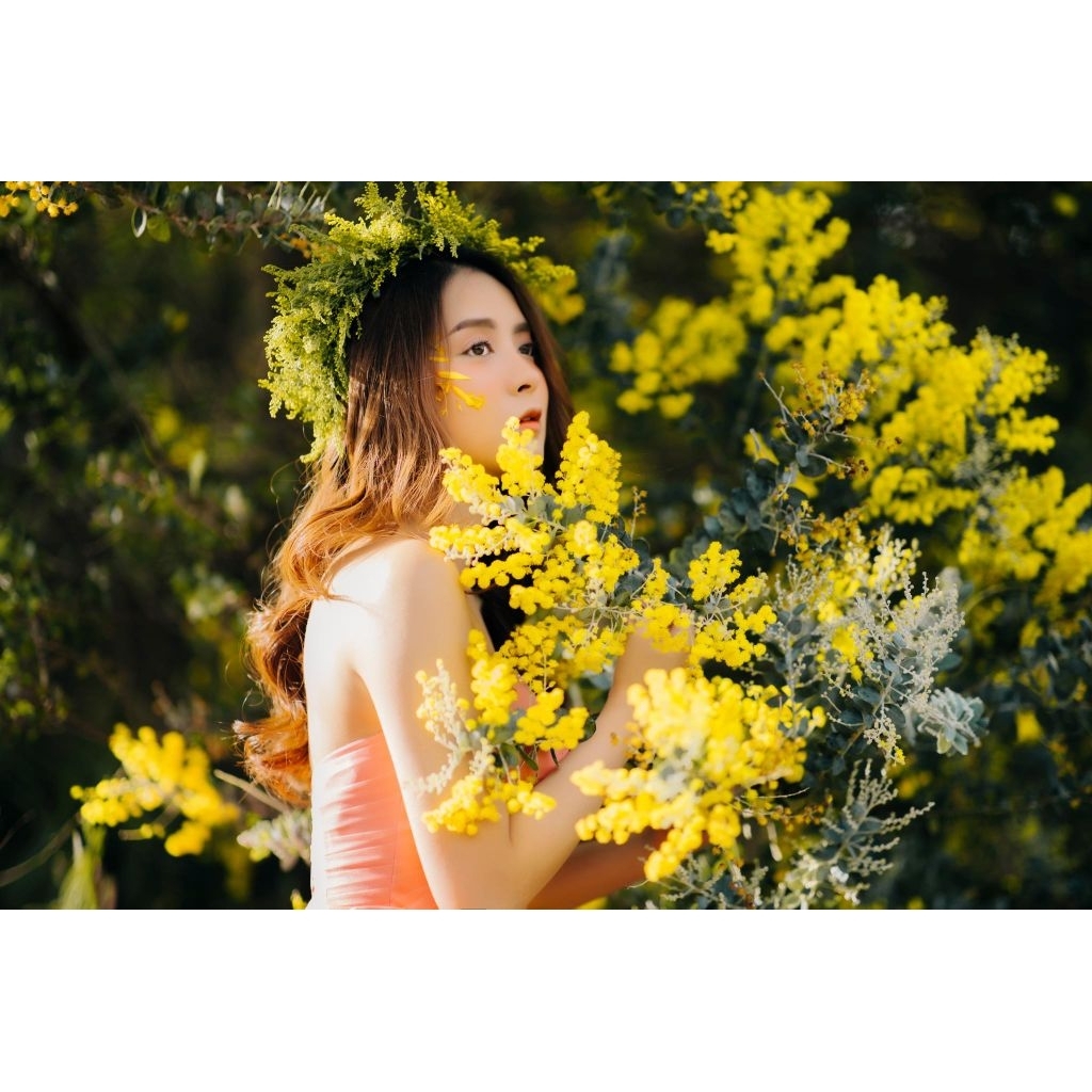 nước hoa nữ hương hoa Mimosa