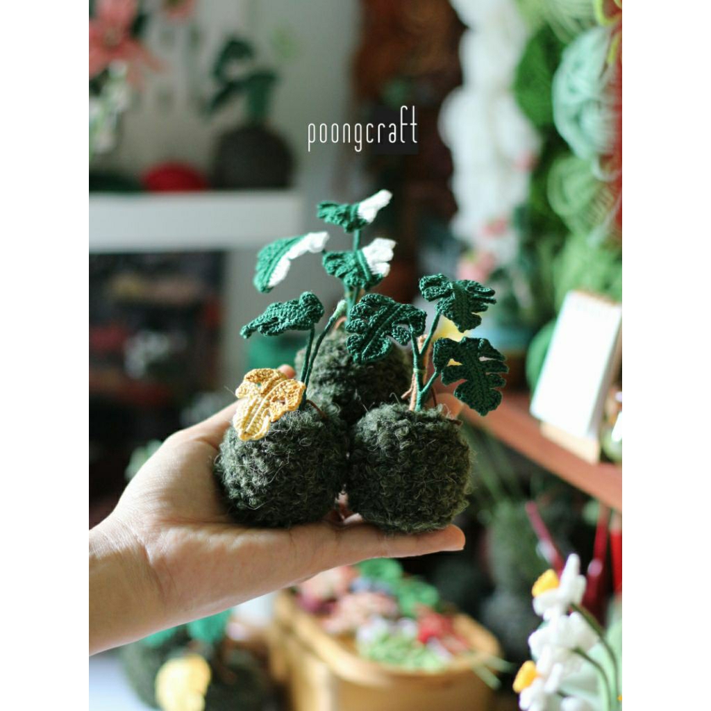 Poongcraftvn • Healing Desk Plants Handmade Decor Home Living