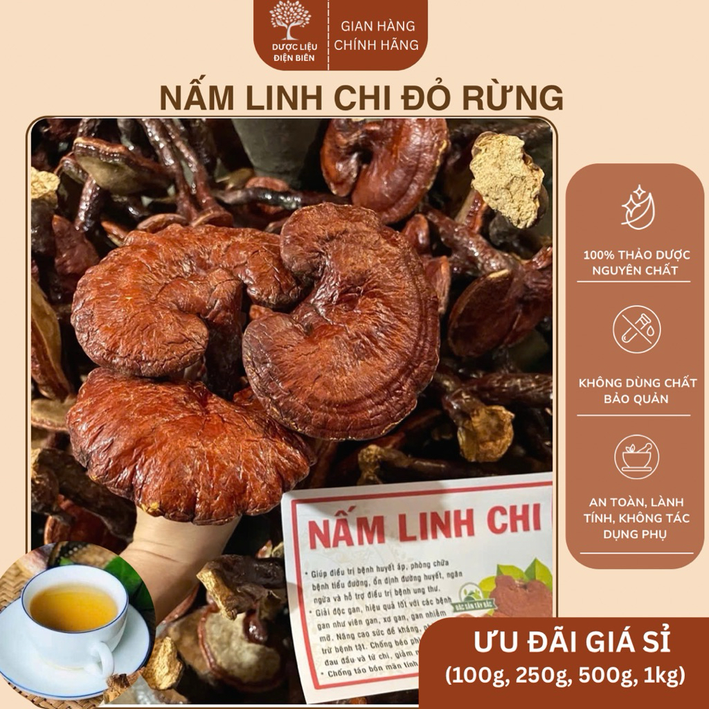 Nấm linh chi đỏ,nấm linh chi rừng,nấm linh chi loại 1 đỏ đẹp,rất tốt cho sức khoẻ