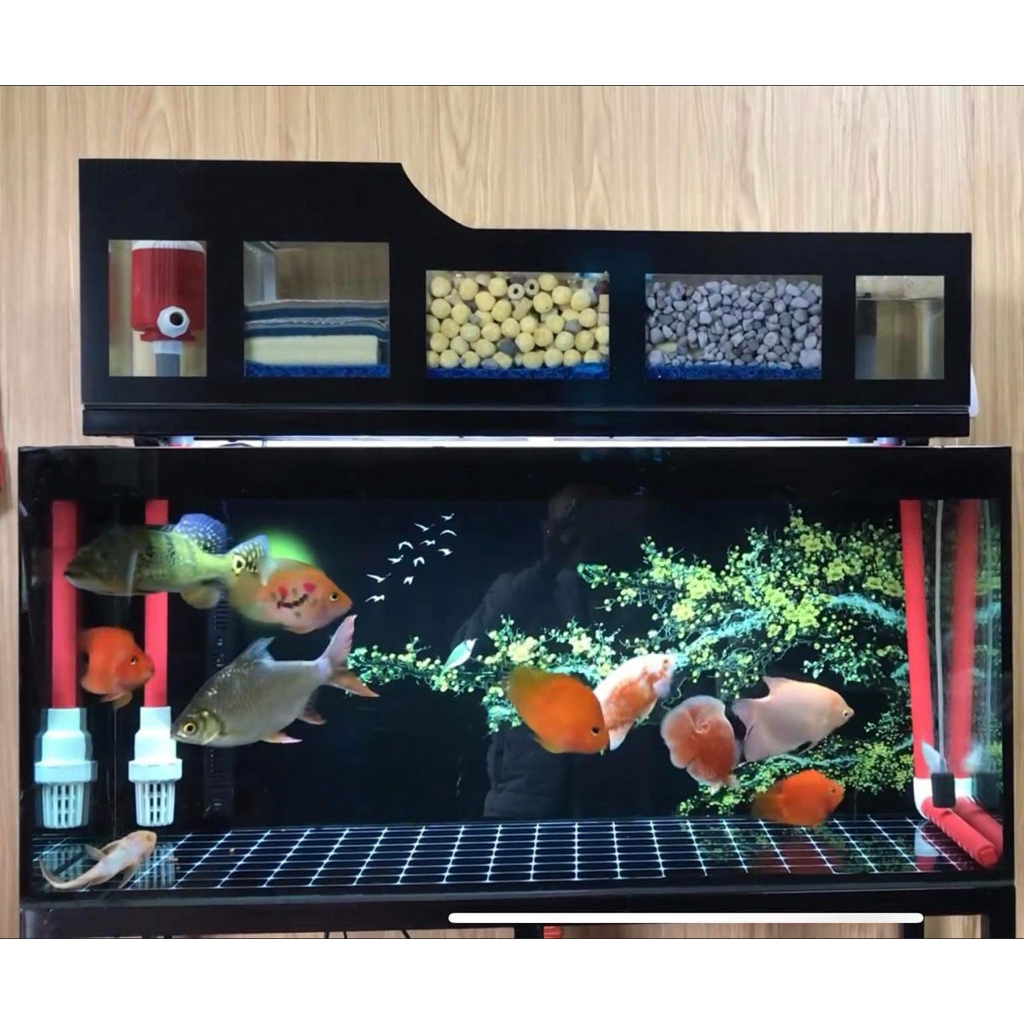 Trọn bộ bể 70x40x40 tràn trên đàu tàu dấu bơm
