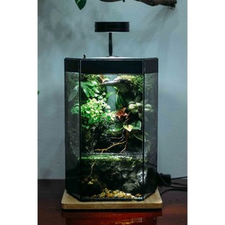 Bể hiệu ứng mưa rơi rainforest