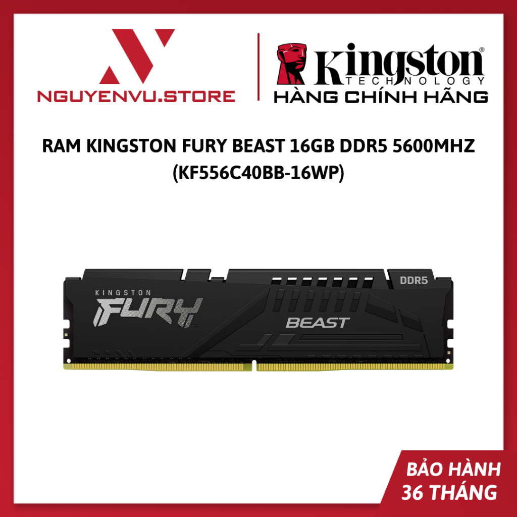 Ram Kingston Fury Beast 16GB DDR5 5600MHz (KF556C40BB-16WP) - Hàng chính hãng