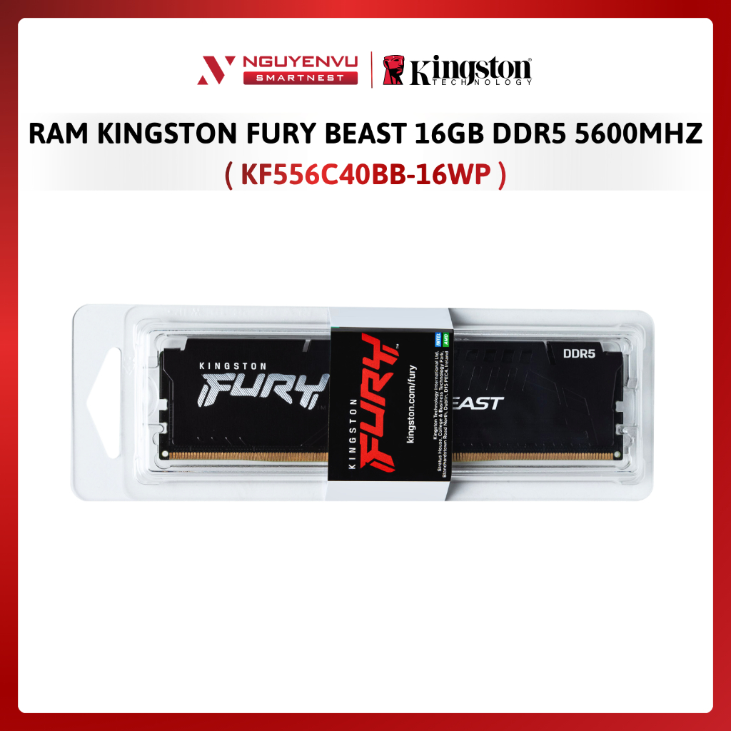 Ram Kingston Fury Beast 16GB DDR5 5600MHz (KF556C40BB-16WP) - Hàng Chính Hãng - Bảo Hành 3 Năm