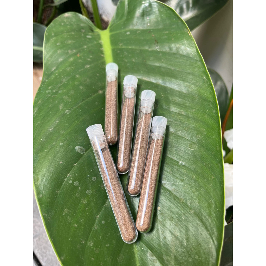 Cám artemia “KHÔNG cần sủi” giúp cá con nhanh lớn & Cám chuyên dùng để nuôi Bobo Thái, Artemia Mỹ, A