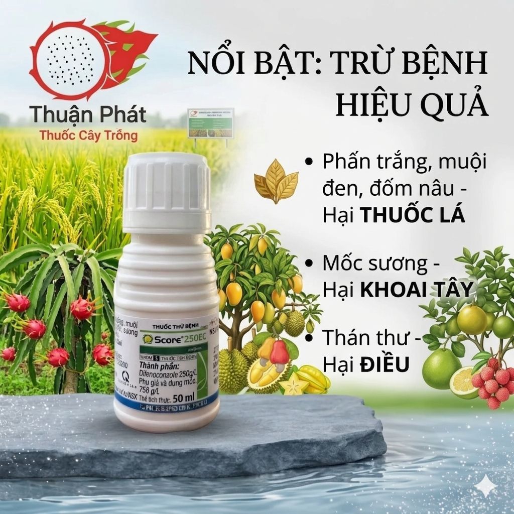 Score 250EC-Chai 50ml-Phân bón lá