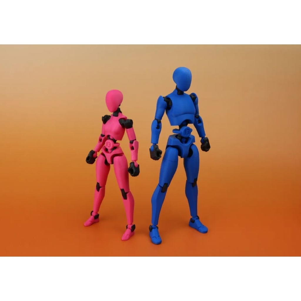 CARBON 13 / Dummy 13