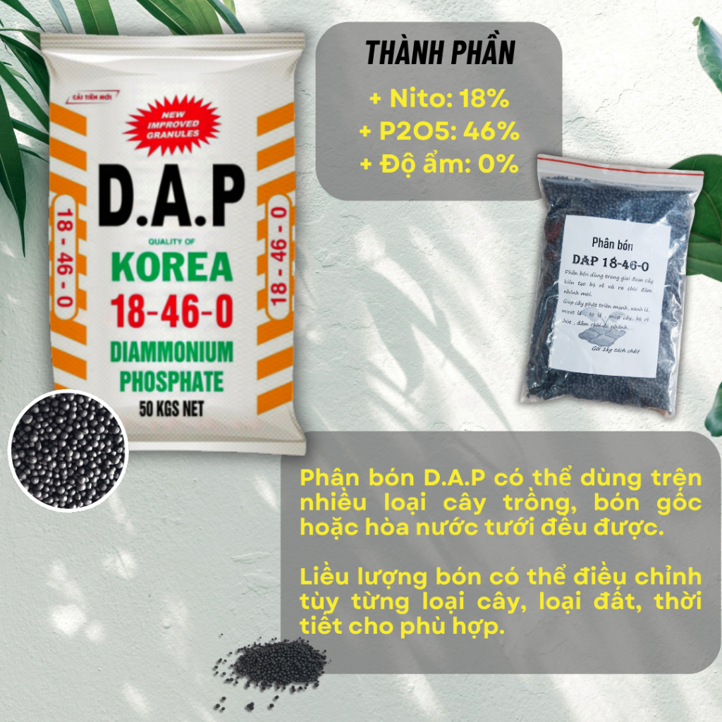 Phân bón DAP hạt đen 18-46-0 - Giúp cây ra rễ, đâm chồi, phục hồi cây trồng.