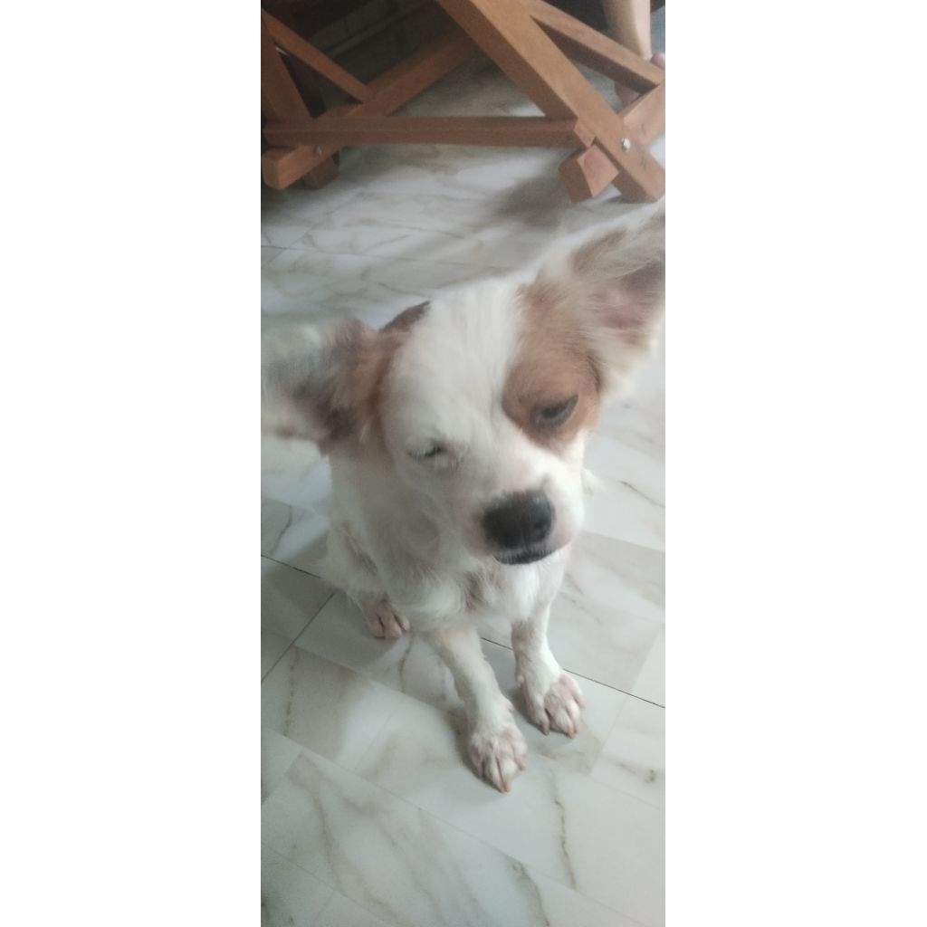 nền hexze d02 ck 80k ib acc dưới