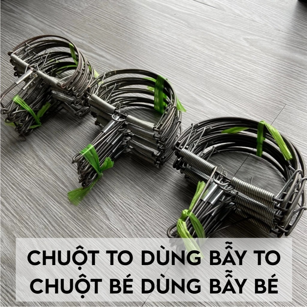 Combo 10 Cạm Chuột Bán Nguyệt Đường Kính 14cm Kẹp Diệt Chuột Bẫy Chuột Hiệu Quả