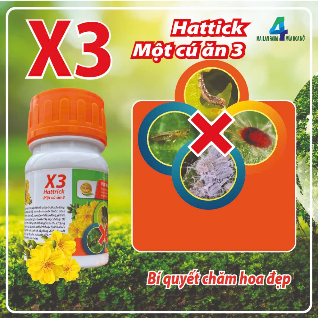 MATSU POWER 12SC-100ml | cho mai vàng AN NHIÊN FARM | LỌ 100ml X3 HATTRICK