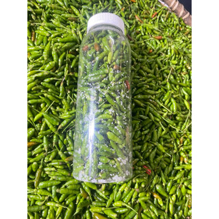 Ớt xiêm rừng tây bắc xóc muối