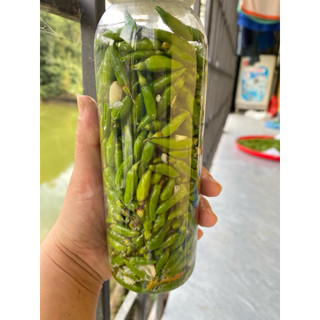 Ớt xiêm rừng tây bắc xóc muối