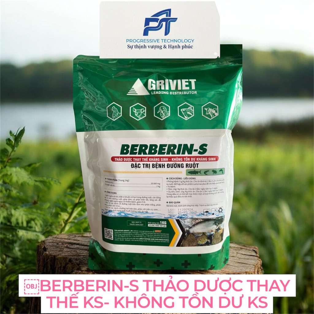 BERBERIN-S THẢO DƯỢC THAY THẾ KS- KHÔNG TỒN DƯ KS
