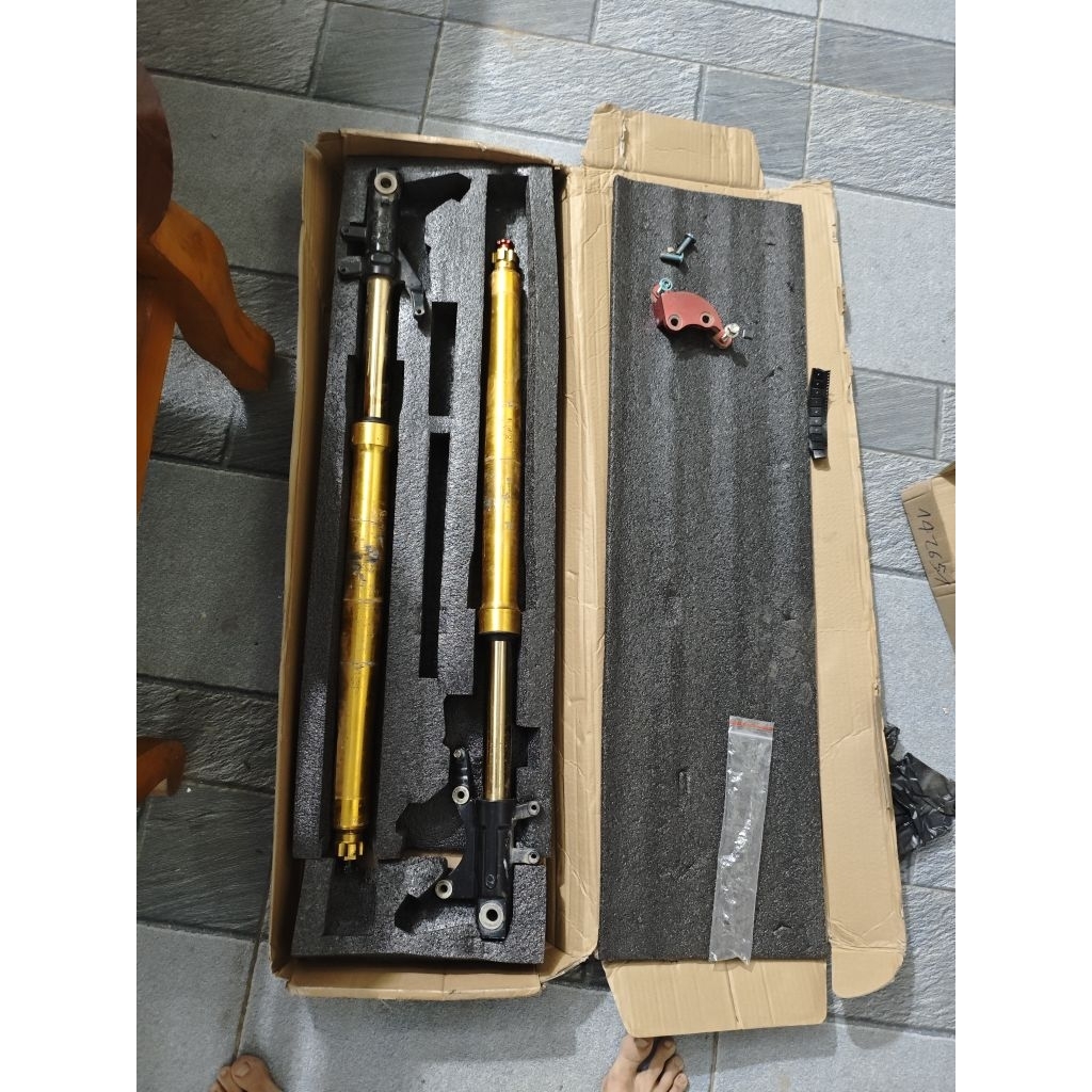 phuộc usd tăng chỉnh