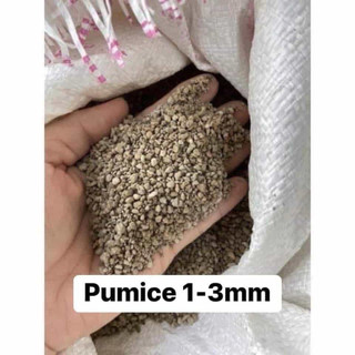 Túi 3kg đá bọt Pumice (đủ size)