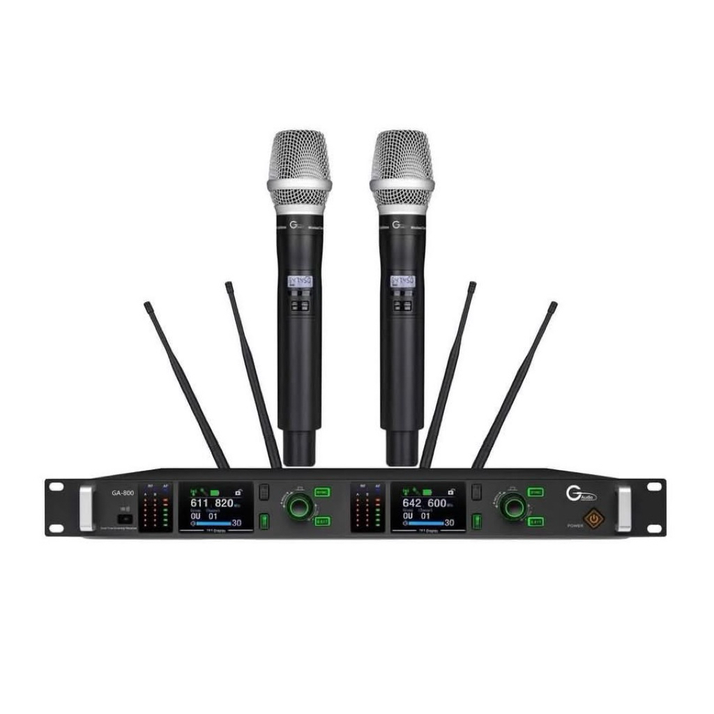 mic Gaudio G800
