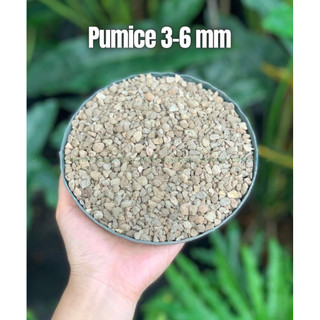 Túi 1kg đá bọt Pumice (đủ size)