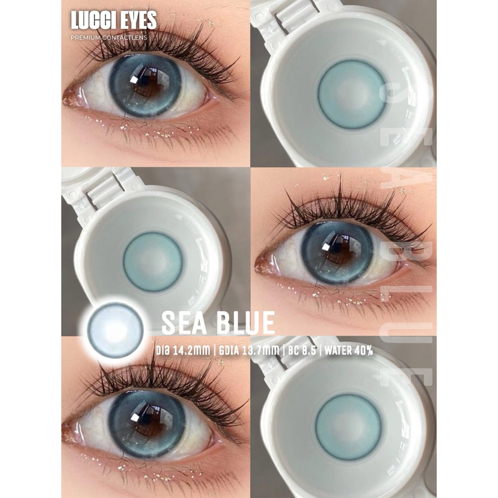 SEA BLUE  14.2mm - Kính Áp Tròng Olivia monrose