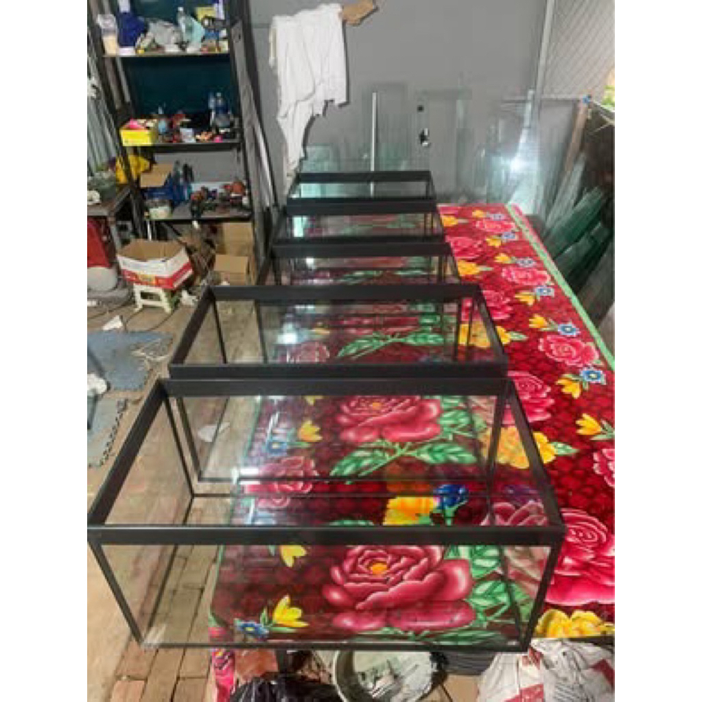 Trọn bộ bể cá 60x40x40, đầy đủ pk, chỉ việc chơi, GH toàn quốc