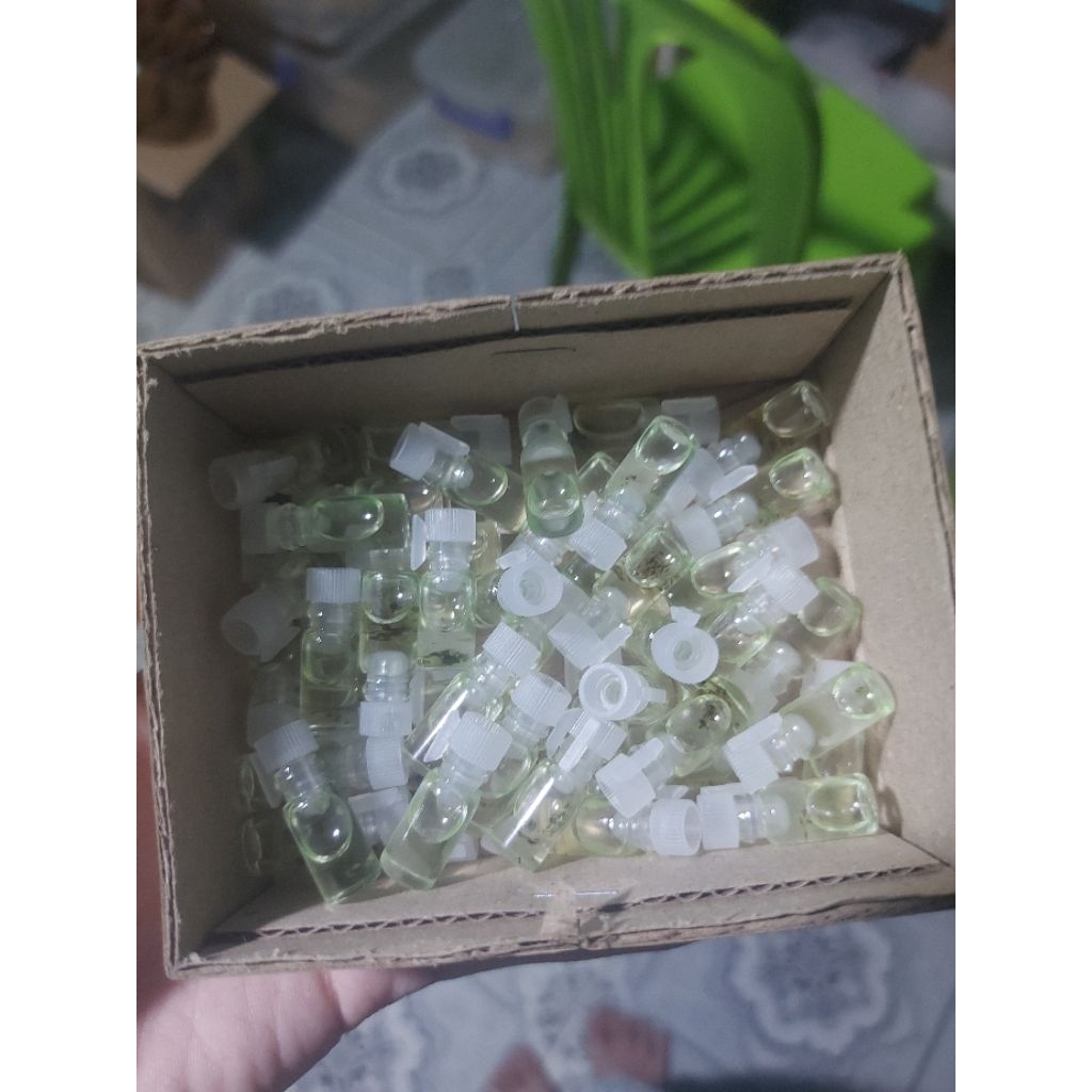 Tinh Dầu Ms Tsm ( combo 5 lọ )