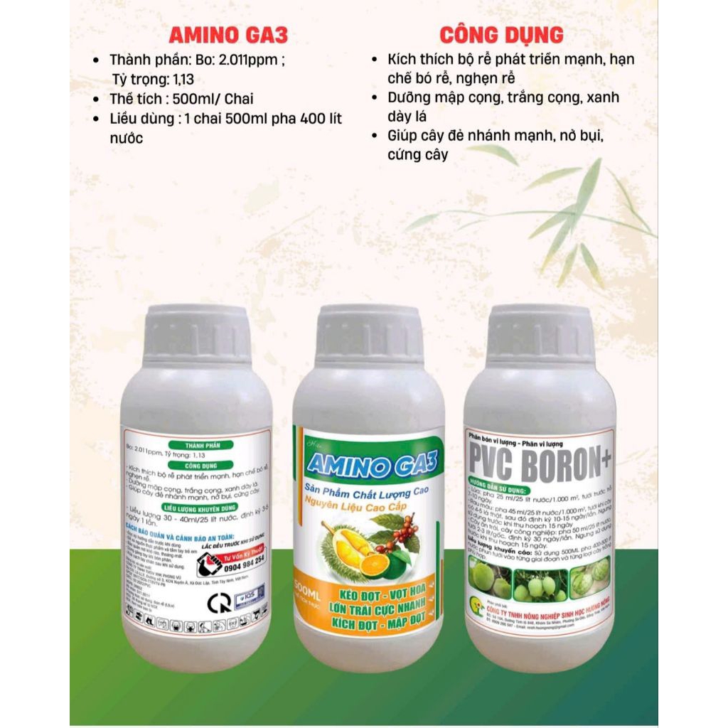 Amino GA3 - Amino ga3