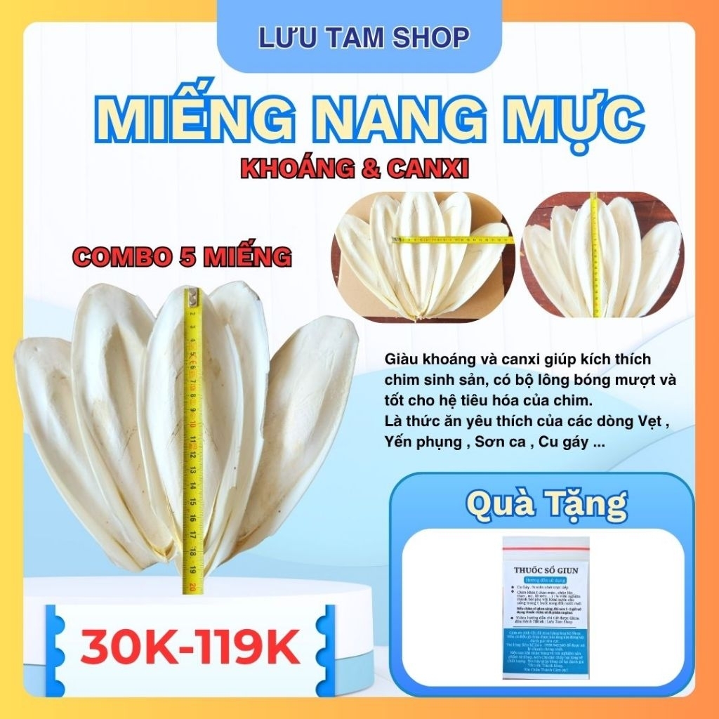 5 Miếng nang mực ( mai mực ) cho chim cảnh  - Kèm thuốc sổ giun