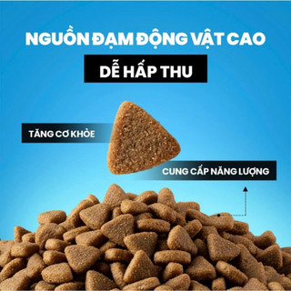Hạt Thức Ăn Mèo Cat's On 20Kg Cat On Dinh Dưỡng Cao Cấp, Bổ Sung Vitamin Và Khoáng Chất Cho Mèo