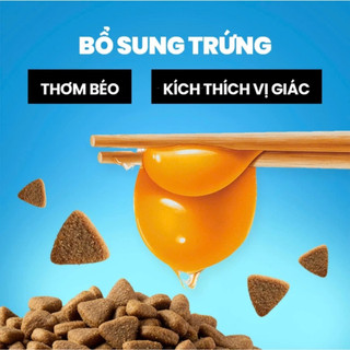 Hạt Thức Ăn Mèo Cat's On 20Kg Cat On Dinh Dưỡng Cao Cấp, Bổ Sung Vitamin Và Khoáng Chất Cho Mèo