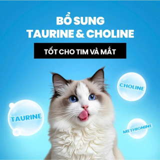 Hạt Thức Ăn Mèo Cat's On 20Kg Cat On Dinh Dưỡng Cao Cấp, Bổ Sung Vitamin Và Khoáng Chất Cho Mèo