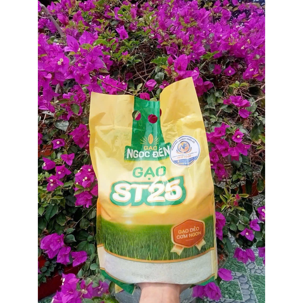 Gạo ST25 - New Food - 5kg
