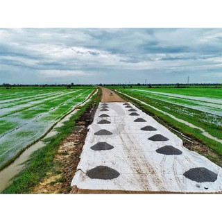 Vải địa kỹ thuật Phú Sơn không dệt khổ rộng, Vải địa trồng cây hàng loại 1 lót chậu sân vườn