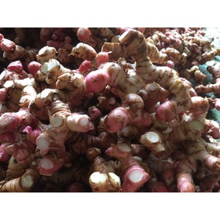 100g củ dong riềng đỏ sấy khô hữu cơ