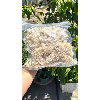 Rong Sụn Muối khô Phan Rang 500g ( hàng khô muối L1)
