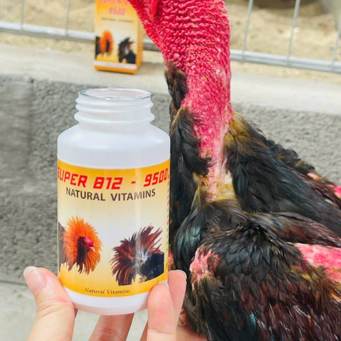 super B12 9500 Chế Độ NPK Nuôi Gà Cường Mạnh Chính Hãng