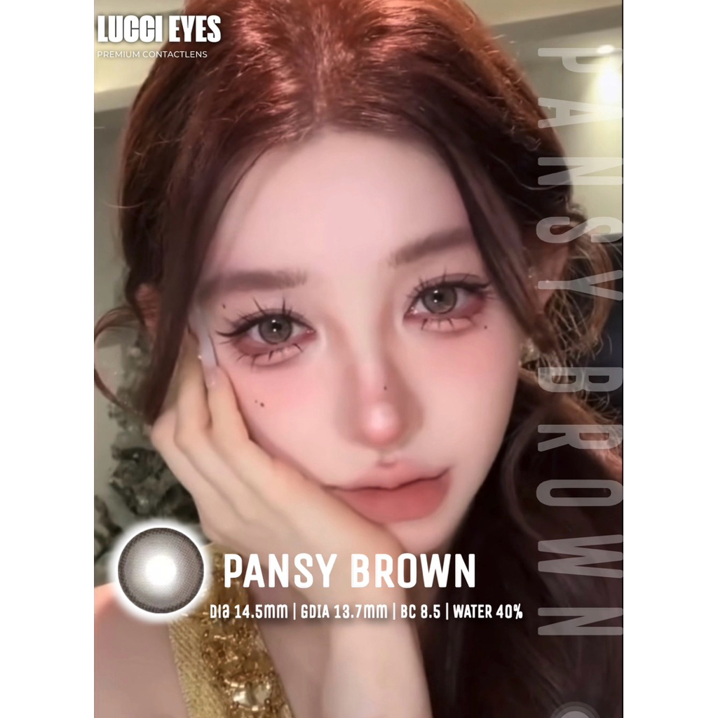 PANSY BROWN - Giãn nhẹ . Kính Áp Tròng Olivia Monrose