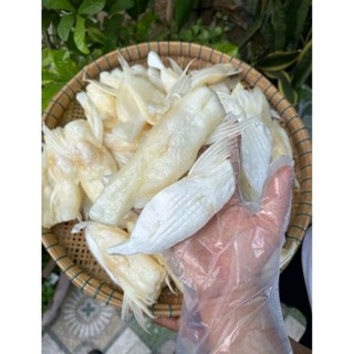 Ức Cá Dứa Nuôi Ngắn, Ức Mỡ Dứa