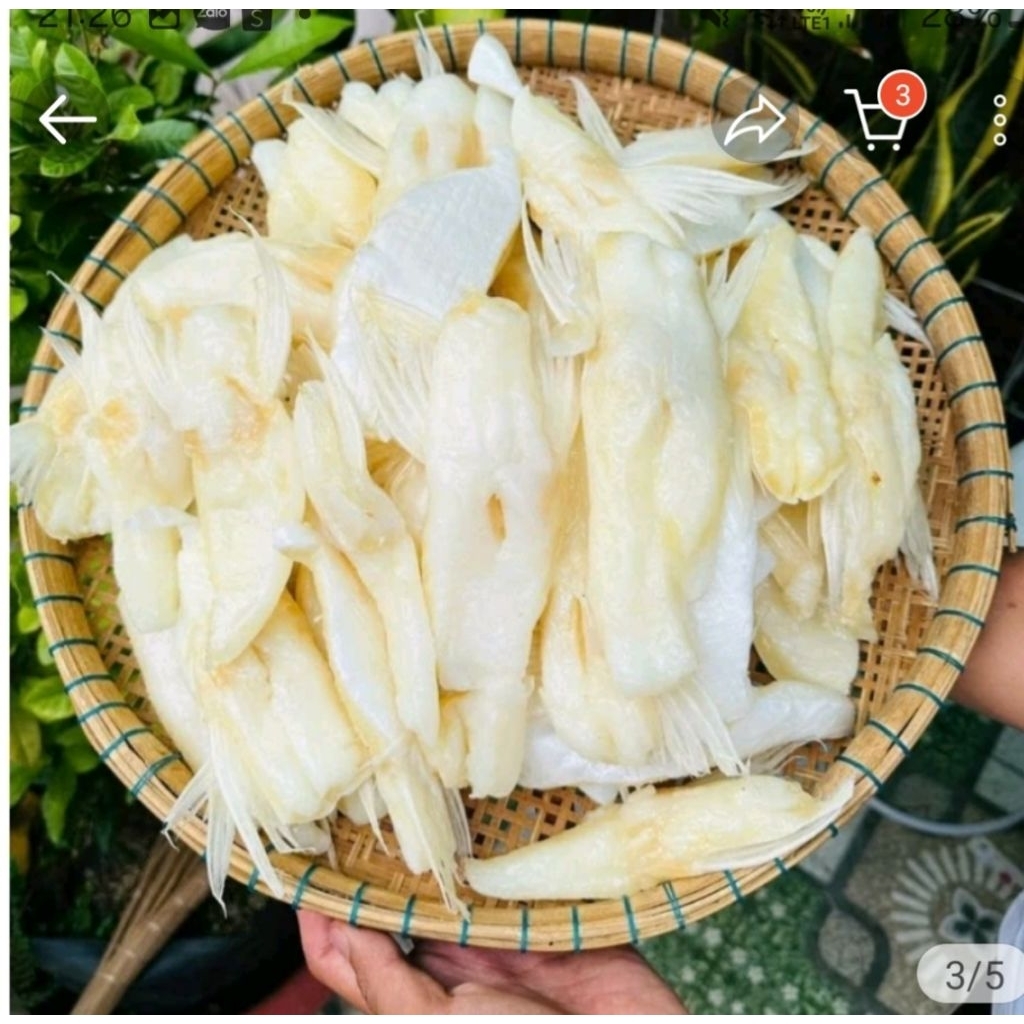 Ức Cá Dứa Nuôi Ngắn, Ức Mỡ Dứa
