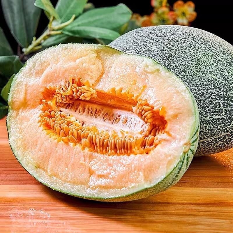 Hạt Giống Dưa Lưới Ruột Cam Siêu  – Dưa Hấu Hami -hami melon seeds-20viên