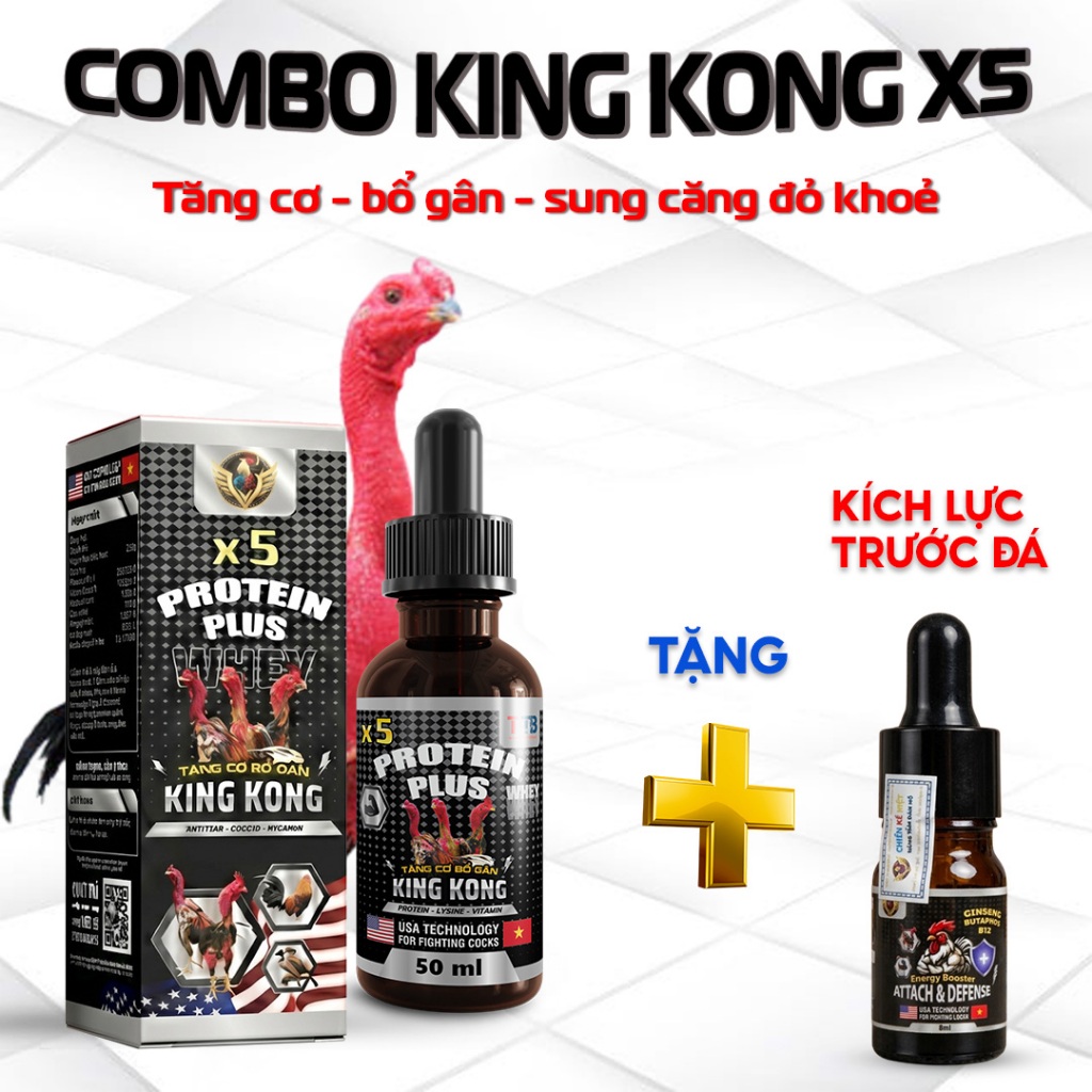 Combo KING KONG X5 + Kích Lực Trước Đá, Tăng Cơ, Bổ Gân – Sung Mạnh – Tăng Lực Gà Chọi
