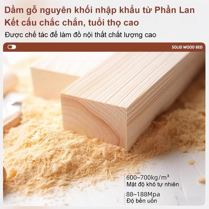 REX Giường Ngủ hiện đại Đầu giường có chức năng lưu trữ  chống xước đế nhựa chống ẩm | BigBuy360 - bigbuy360.vn