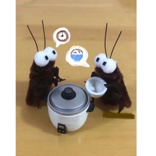 Con gián kẽm nhung siu đáng iu