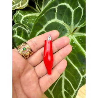 Cặp đầu kẹp cá sấu đỏ đen ( 2 cái)