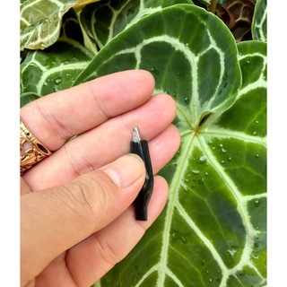 Cặp đầu kẹp cá sấu đỏ đen ( 2 cái)