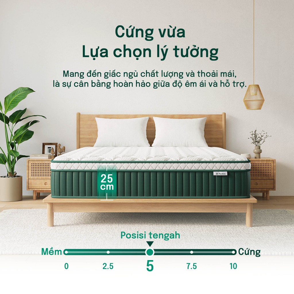 Nệm lò xo cao cấp MOSSWOOD 25cm mềm mại thoải mái, chống rung lắc và không gây tiếng động, hỗ trợ nhận hàng thanh toán | BigBuy360 - bigbuy360.vn