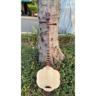 Đàn sến gỗ Hương