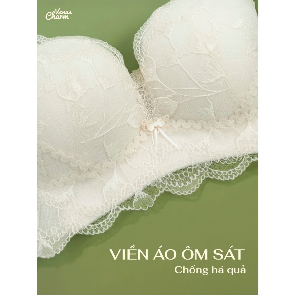 Áo Lót Nâng Ngực Vpush Mút Dày 3cm Venus Charm, Không Gọng Nâng Ngực Tạo Khe Tự Nhiên Phối Ren 5601 | BigBuy360 - bigbuy360.vn