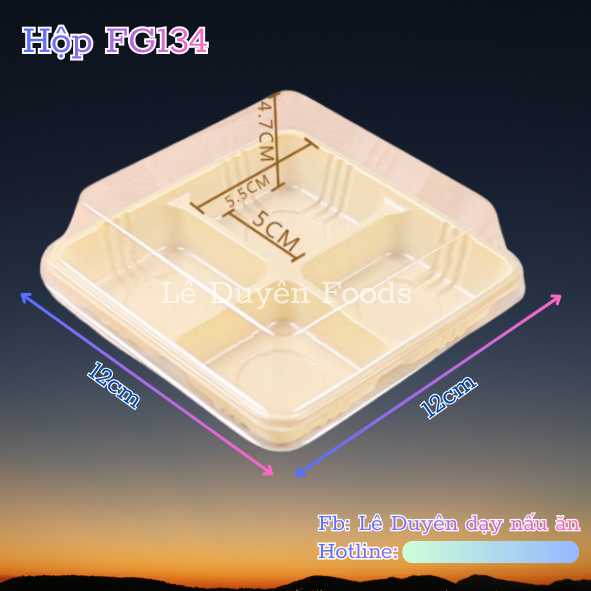 Hộp nhựa FG134