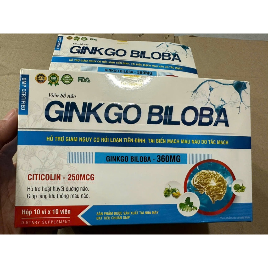 GINKGO BILOBA 360MG – Hỗ trợ giảm nguy cơ rối loạn tiền đình, tai biến mạch máu não do tắc mạch