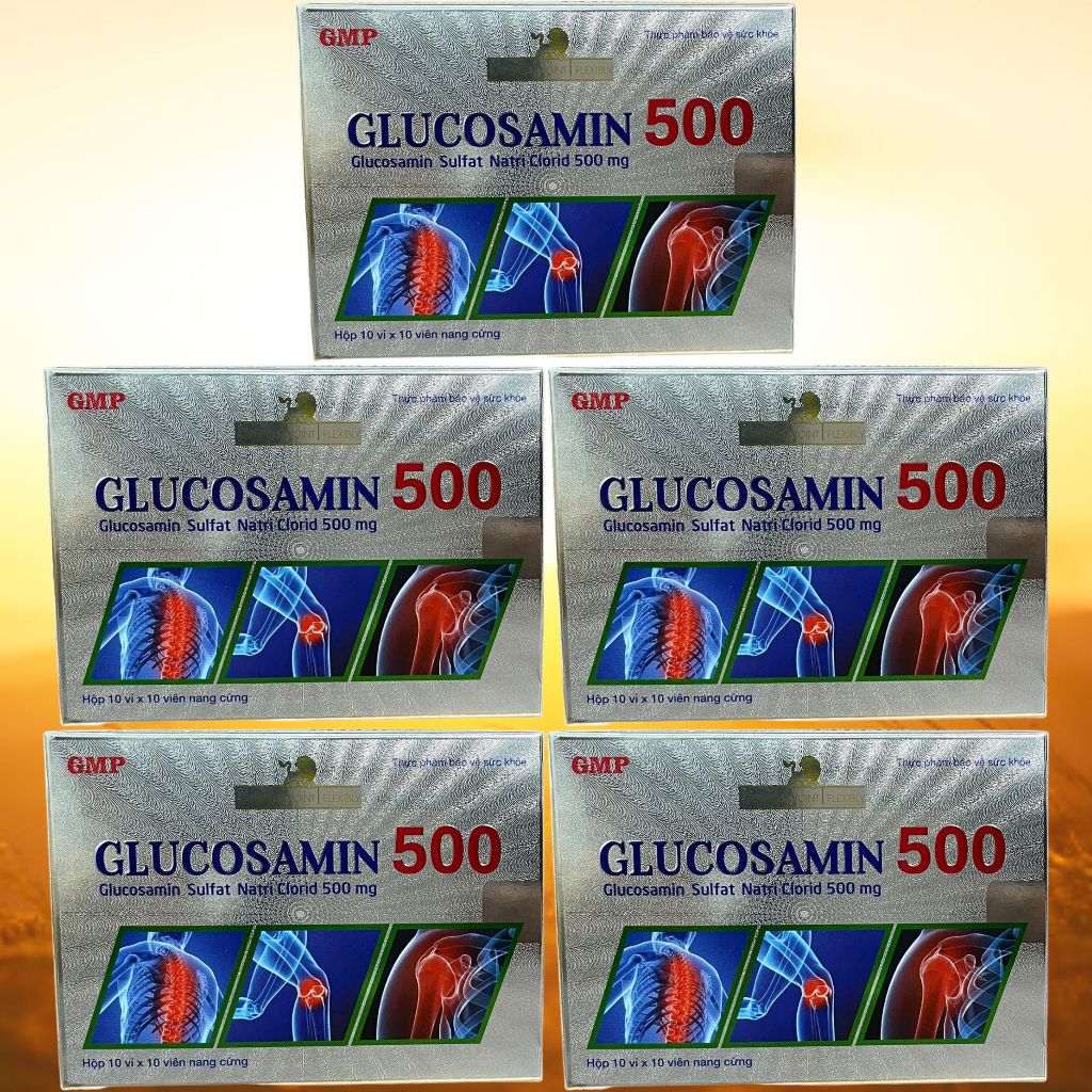 Combo 5 Hộp Glucosamin 500 - Rostex - Mediphar USA - Vitamin Thanh Lọc